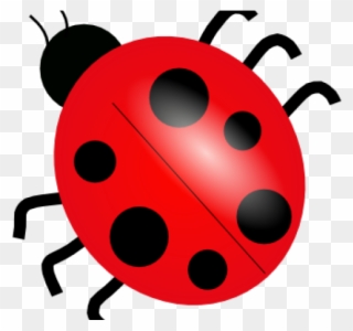 Ladybug Clipart Public Domain - Dibujo De Una Mariquita - Png Download