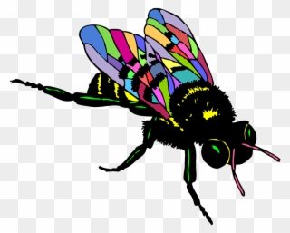 European Dark Bee Drawing - House Fly Drawing Easy Clipart