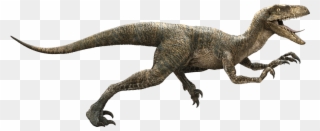 Raptor Dinosaur Png - Jurassic World Velociraptor Clipart