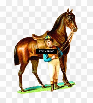 Horse - Sorrel Clipart