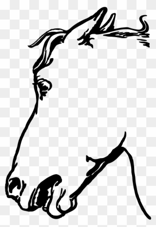 Big Image - Custom Horse Head Sketch Mugs Clipart