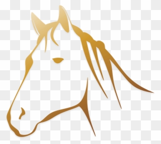 Horse Head Line Drawing Clipart
