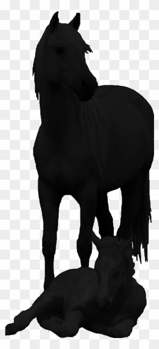 Click On Any Photo For Larger Picture/slideshow To - Horse Clipart