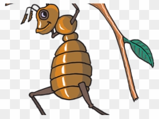 Baby Clipart Ant - Free Vector Bee - Png Download