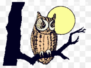 Animated Clipart Owl - Wise Old Owl Gif - Png Download