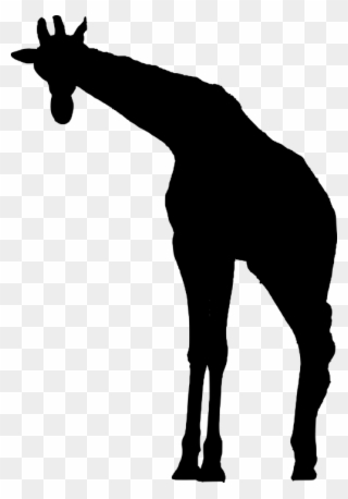 Smiling Giraffe Cliparts 10, Buy Clip Art - Žirafa Silueta - Png Download