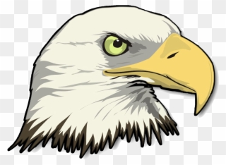 Eagle Cartoon Png Clip Art Library Download - Cartoon Bald Eagle Head Transparent Png