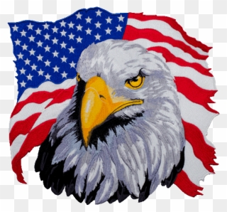 American Flag Eagle Png Clipart