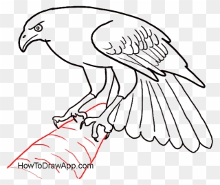 How To Draw An Eagle Bird - Draw A Eagle Easy Clipart