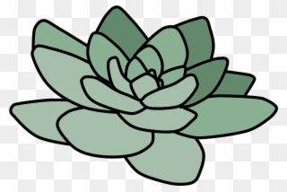 Cactus Suculent Tumblr Plant Green Niebieskoka Drawing - Picsart Photo Studio Clipart