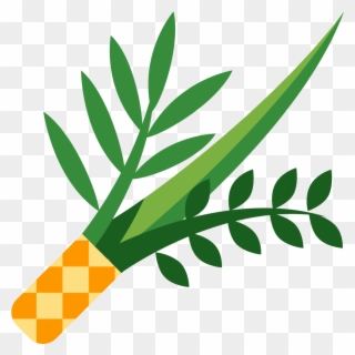 The Icon Is A Picture Of A Plant, Or Lulav - Lulav Png Clipart