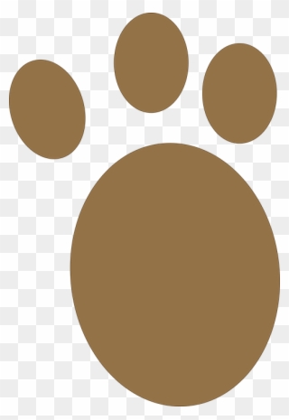 Dog Paw Shop Of Library Buy Clip - Kutya Mancs Png Transparent Png