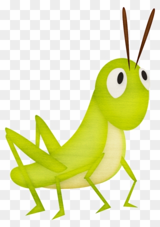Grasshoppers Clipart Png Transparent Png