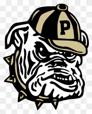 Pendleton Bulldogs - Pendleton High School Bulldog Clipart
