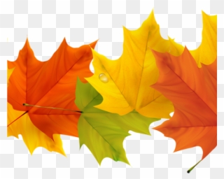 Free Fall Leaf Clip Art 19 Free Graphic Free Fall Leaves - Fall Leaves Border Transparent - Png Download