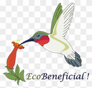 Ecobeneficial Logo - Garden Design Clipart