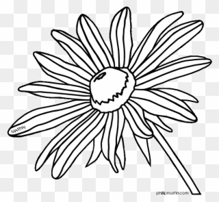 Maryland 20clipart - Black Eyed Susan Black And White Clipart - Png Download