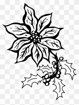 Poinsettia5 Holidays Coloring Pages - Poinsettia Coloring Pages Clipart
