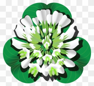 Free Clipart Of A Clover Blossom And Leaves - White Clover Flower Png Transparent Png
