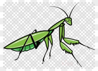 Praying Mantis Clipart Insect Clip Art - Praying Mantis Clipart - Png Download