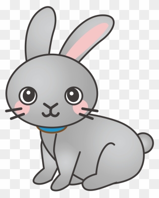 Rabbit, Bunny, Animal, Cute - Rabbit Cartoon Png Clipart