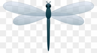 Dragonfly Clipart Free Download Clipart Free Clipart - Cartoon Dragonfly Transparent Background - Png Download