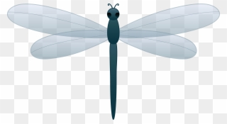 Dragonfly Clipart - Png Download - Full Size Clipart (#2434585 ...