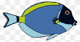 Clipart Fish Colorful - Powder Blue Tang Clip Art - Png Download