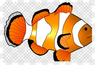 Download Fish Clipart Clownfish Clip Art Fish Orange - Clownfish - Png Download