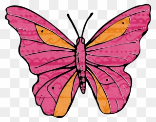 Orange And Pink Butterflies Clipart