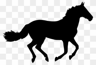 Vector Graphics,free Pictures, Free Photos, - Black Horse Inside Coolmore Clipart