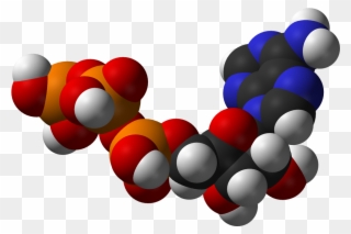 Energy In An Atp Molecule - Atp Molecule Png Clipart
