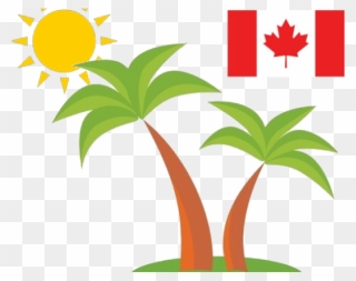 Puerto Rico Clipart Palm Tree - Canada Flag - Png Download