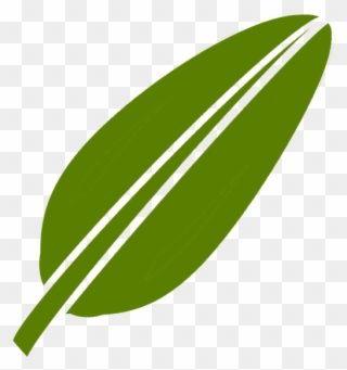 Green Tea Png 29, Buy Clip Art - Logo Daun Pisang Png Transparent Png