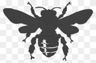 Collection Of Black And White Bee - Dark Bee Clipart