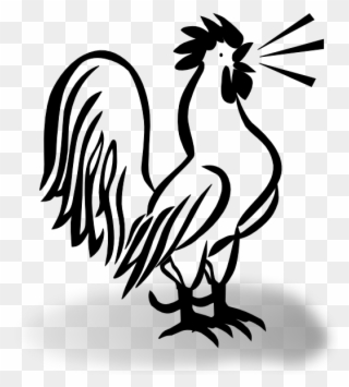 French Cockerel W Shaddow Clip Art - Rooster And Chicken Cartoon - Png Download