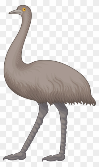 Ostrich Cliparts 12, Buy Clip Art - Clip Art Emu - Png Download