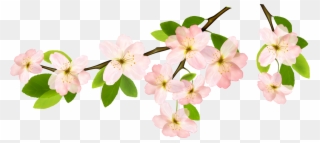 Magnolia Clipart Garland - Transparent Background Spring Clipart - Png Download