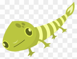 Green Gecko Lizard Computer Icons Animal - ลาย กราฟฟิก สี เขียว Clipart