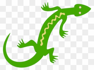 Lizard Reptile Salamander Lacertids Gecko - Lizard Clipart