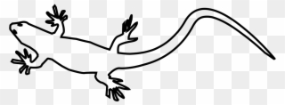 File Wikipedia Filegeckosvg - Scalable Vector Graphics Clipart