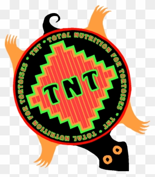 Tnt Total Nutrition For Tortoises 8 Ounces Free Shipping - Tnt Tortoise Clipart