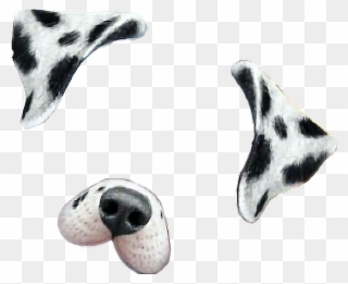 Snapchat Filters Clipart Dalmatian - Snapchat Dog Filter Png Transparent Png