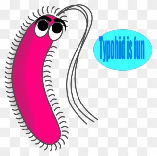 Funny Germs Cliparts - Gram Positive Bacteria Cartoon - Png Download