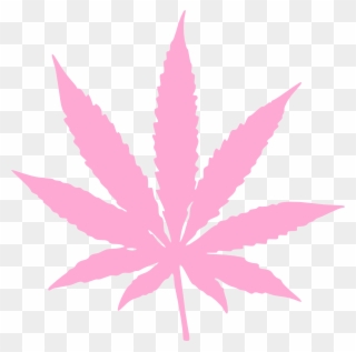 Weed Plant Vector - Pink Marijuana Leaf Png Clipart