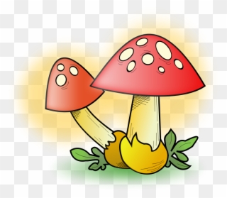 Gnome Clipart Musroom - Mushroom Clip Art - Png Download