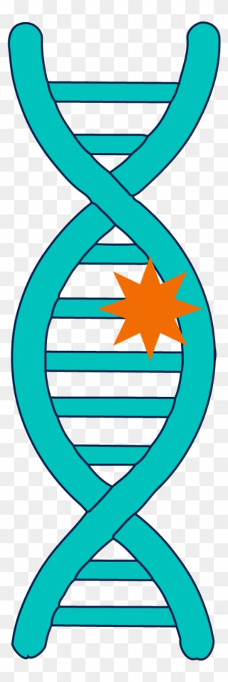 A Mutation In A Gene Refers To A Change In The Underlying - Illustration Clipart