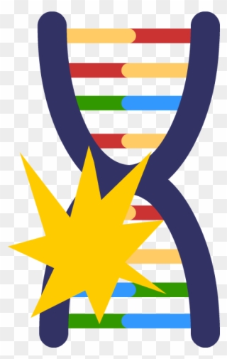 Genetic Mutations - Genetic Mutation Png Clipart