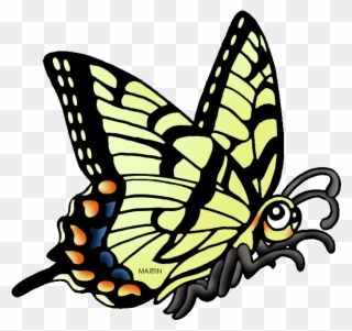 Georgia Clipart Ga State - Georgia State Butterfly - Png Download