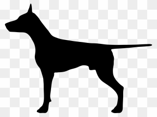 Dobermann German Shepherd Cat Bulldog Pet - Transparent Background Dog Silhouette Png Clipart